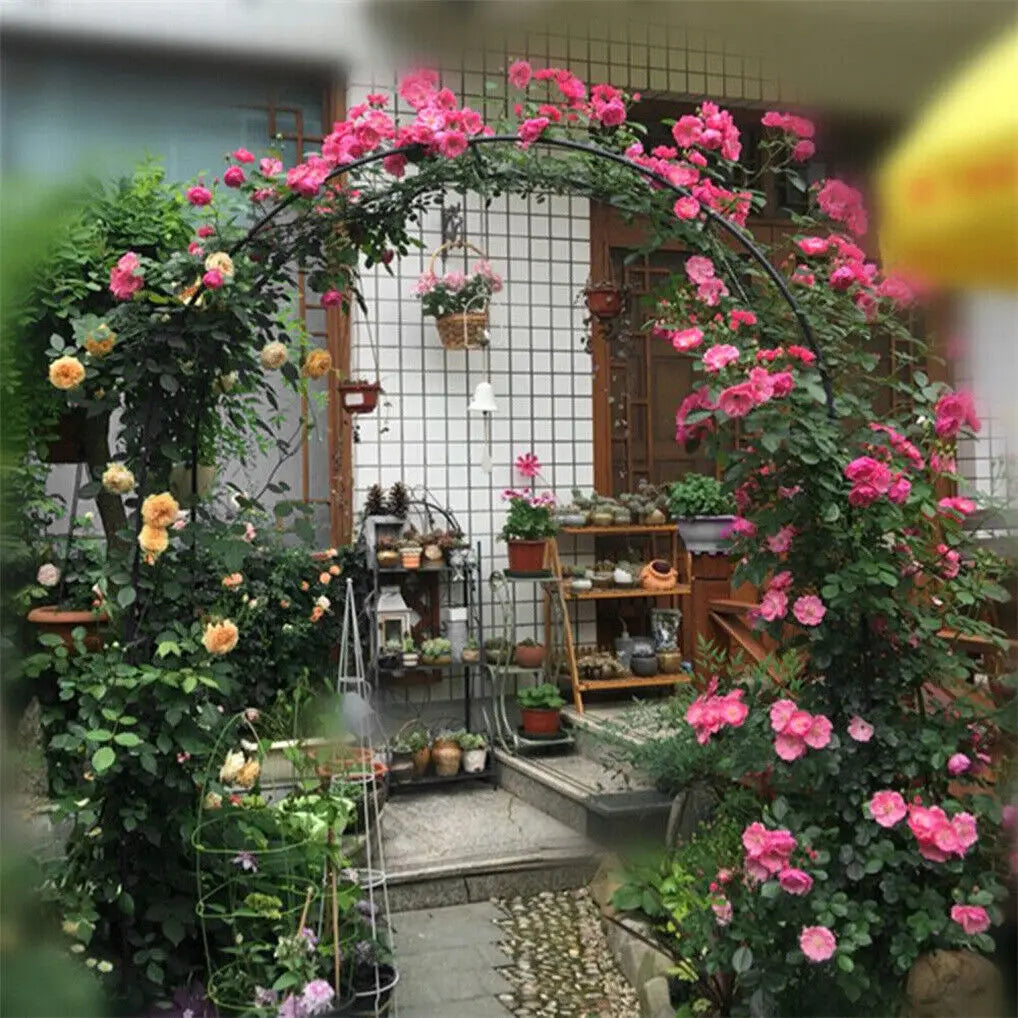 Wisfor Metal Garden Arch Trellis for Climbing Plants and Weddings