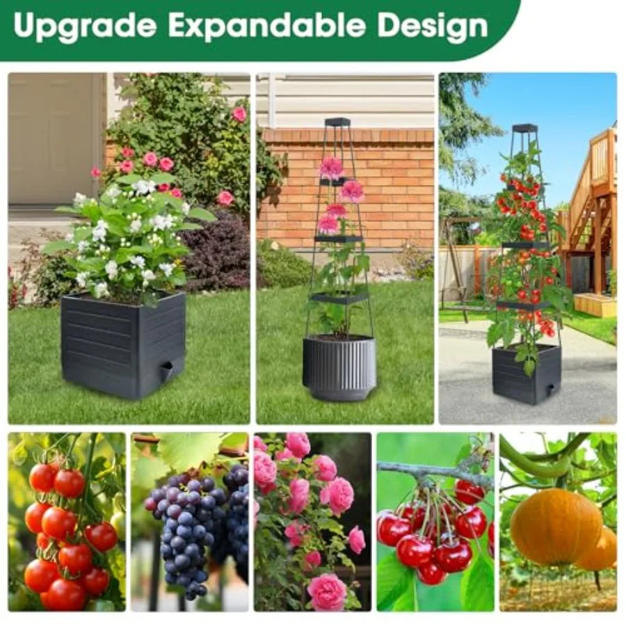 Raised Garden Planter Boxes With Trellis For Climbing Vegetables