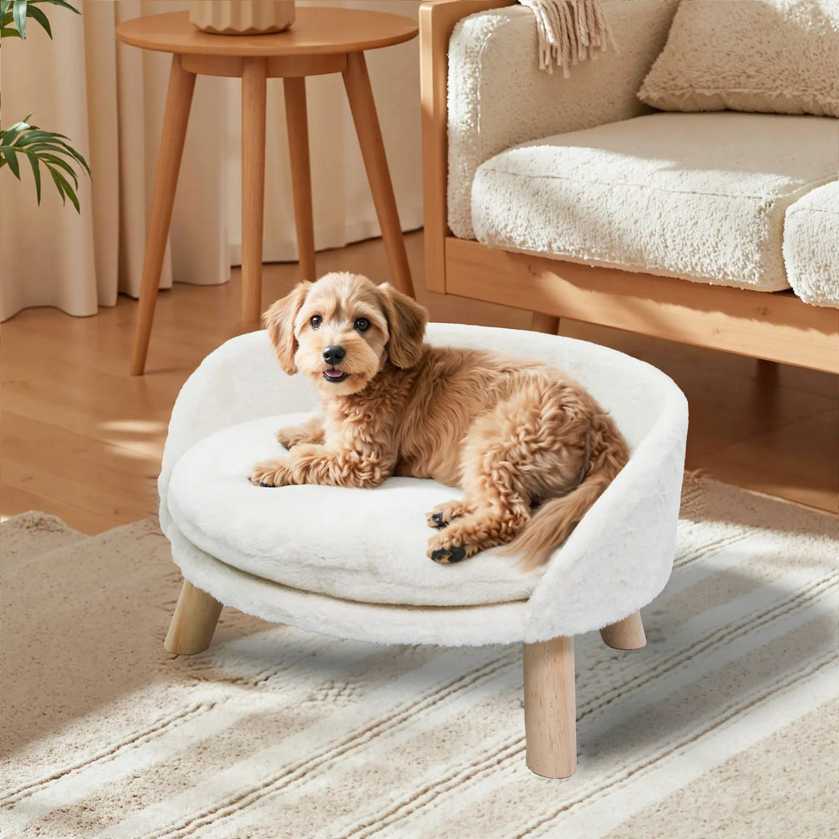 BORWART Ultra Soft Elevated Pet Sofa Bed With Removable Cover
