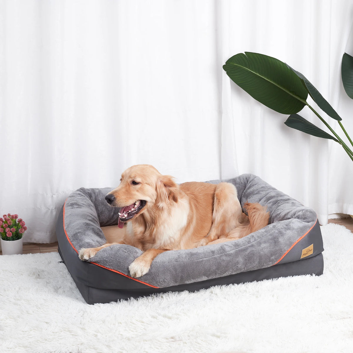 Bingopaw Soft Fleece Dog Bed With Removable Washable Cover