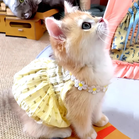 Pretty Cat Dress With Floral Wreath Collar For Pets