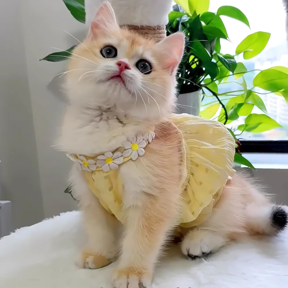 Pretty Cat Dress With Floral Wreath Collar For Pets