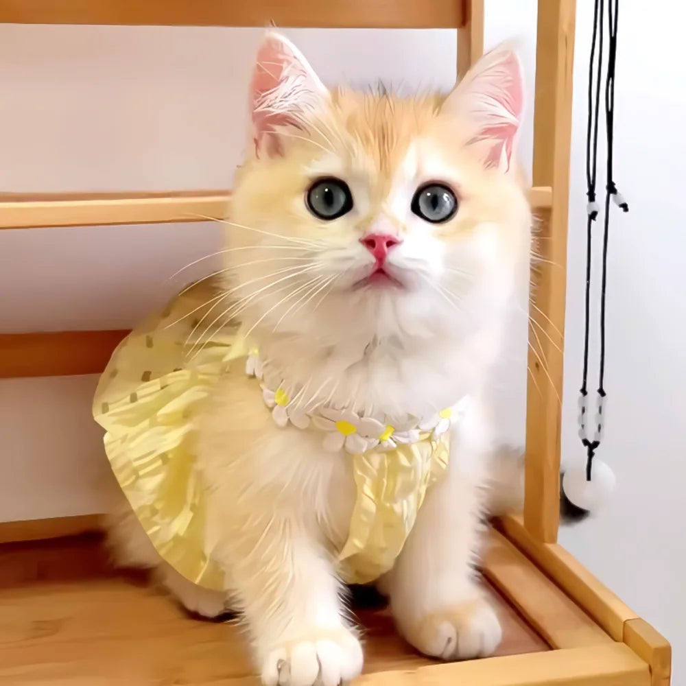 Pretty Cat Dress With Floral Wreath Collar For Pets