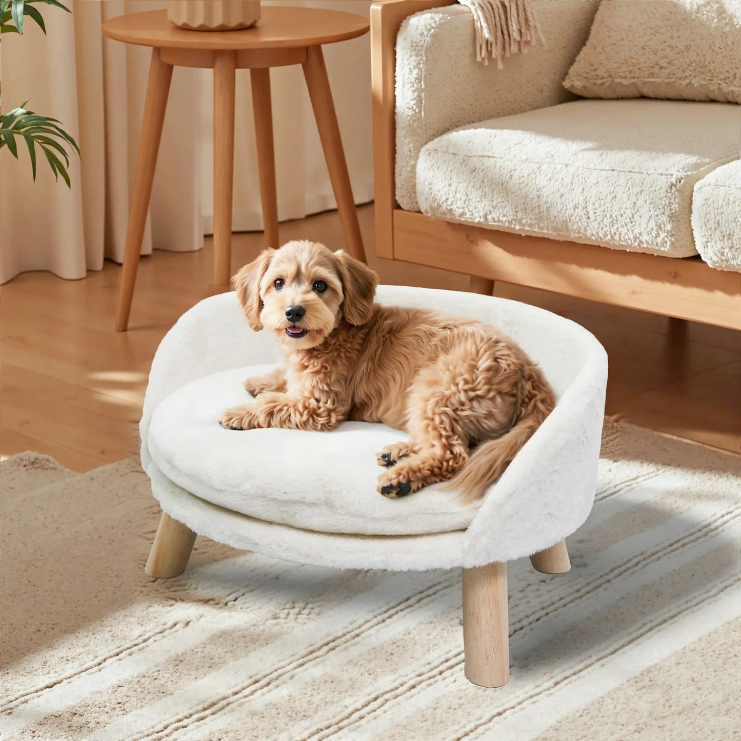 BORWART Ultra Soft Elevated Pet Sofa Bed With Removable Cover