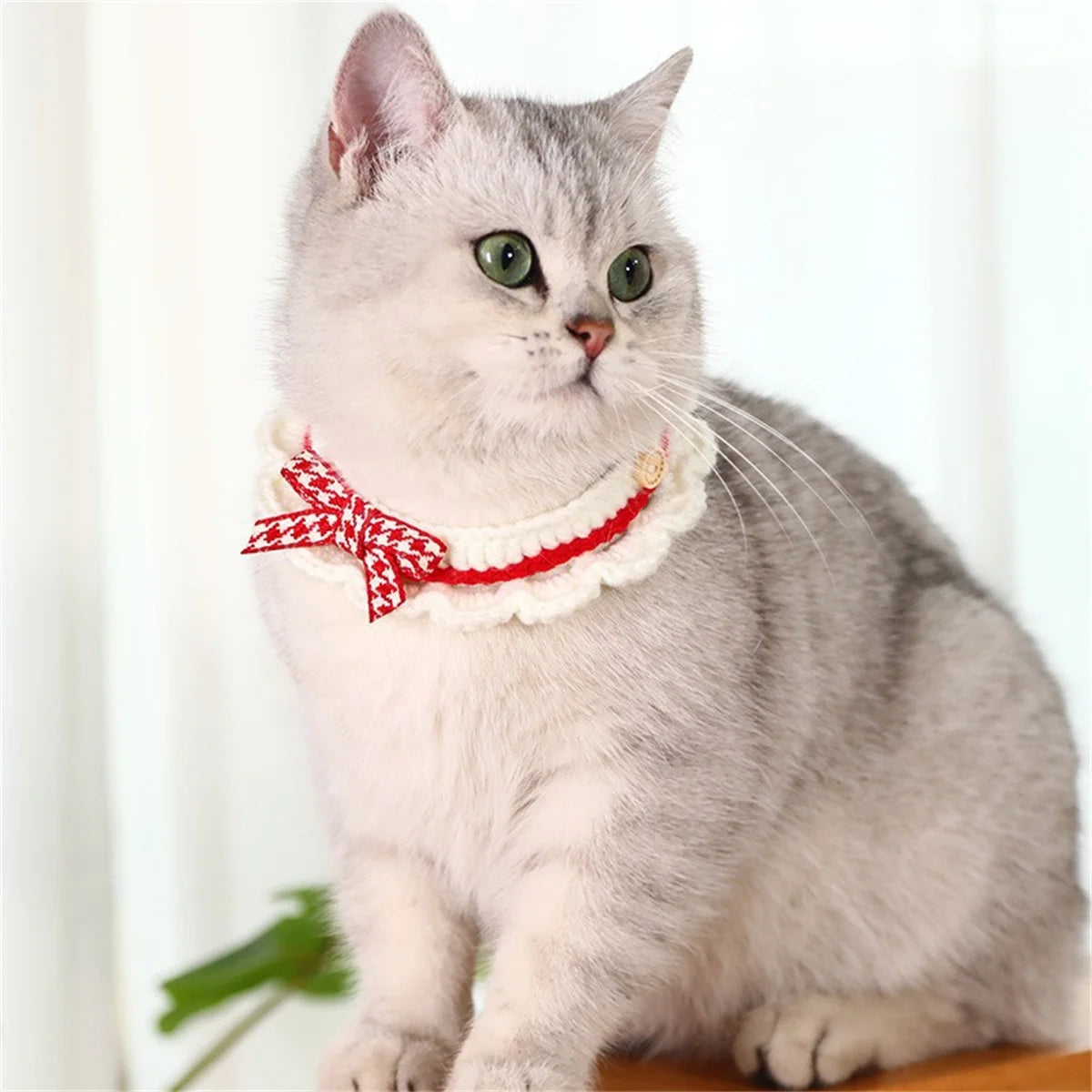 Adjustable Knitted Pet Collar With Bow Detail For Cats And Puppies