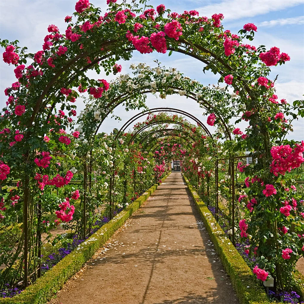 Wisfor Metal Garden Arch Trellis for Climbing Plants and Weddings