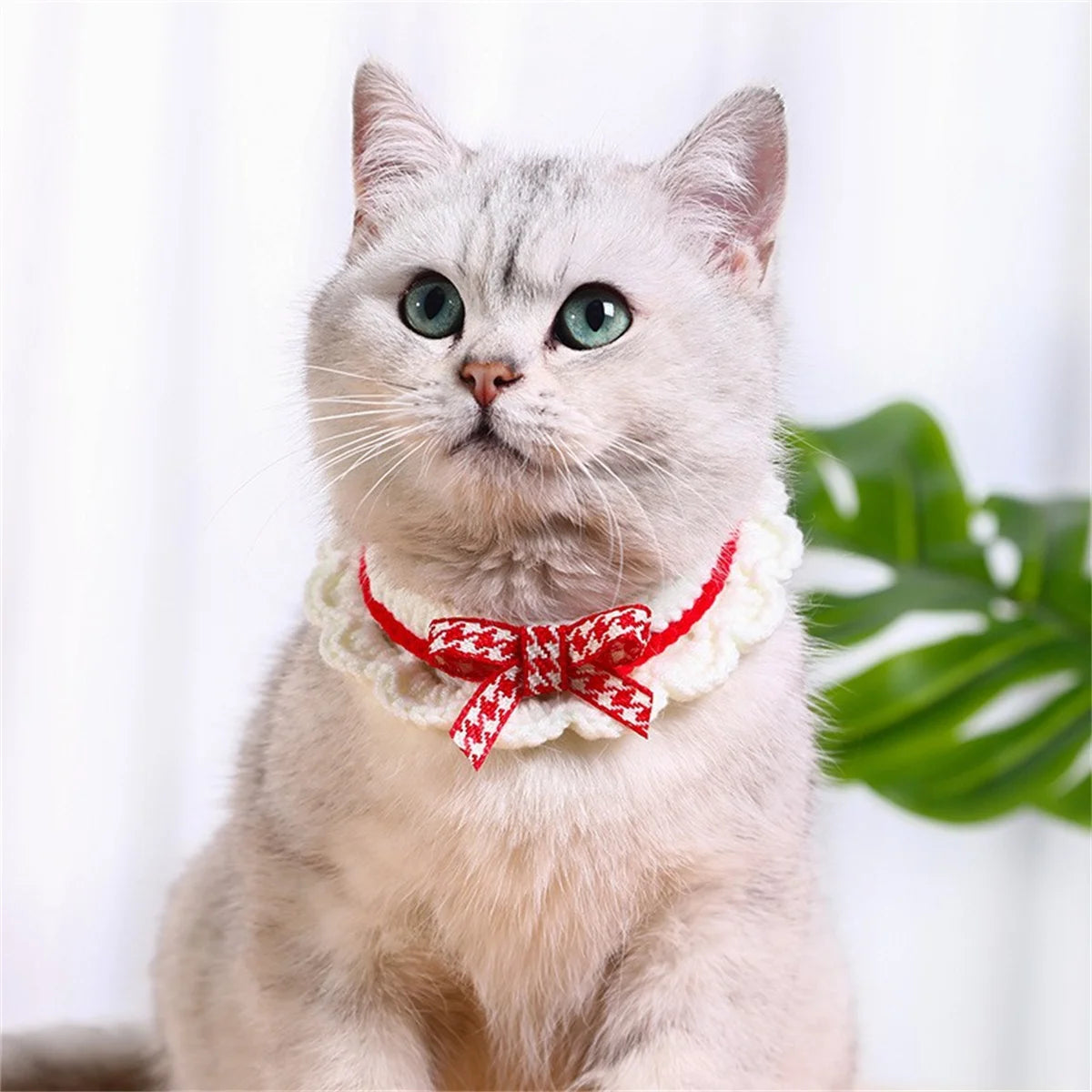 Adjustable Knitted Pet Collar With Bow Detail For Cats And Puppies
